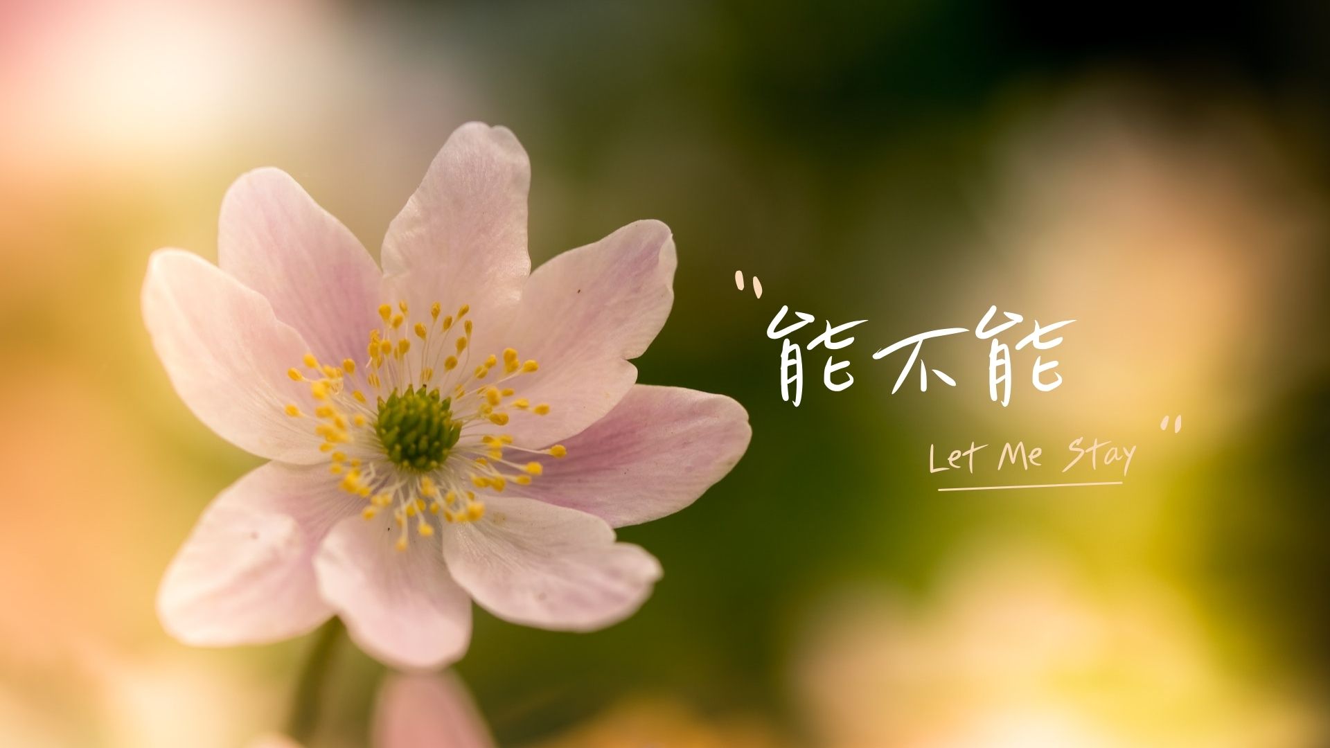 【诗歌】能不能 – Welcome